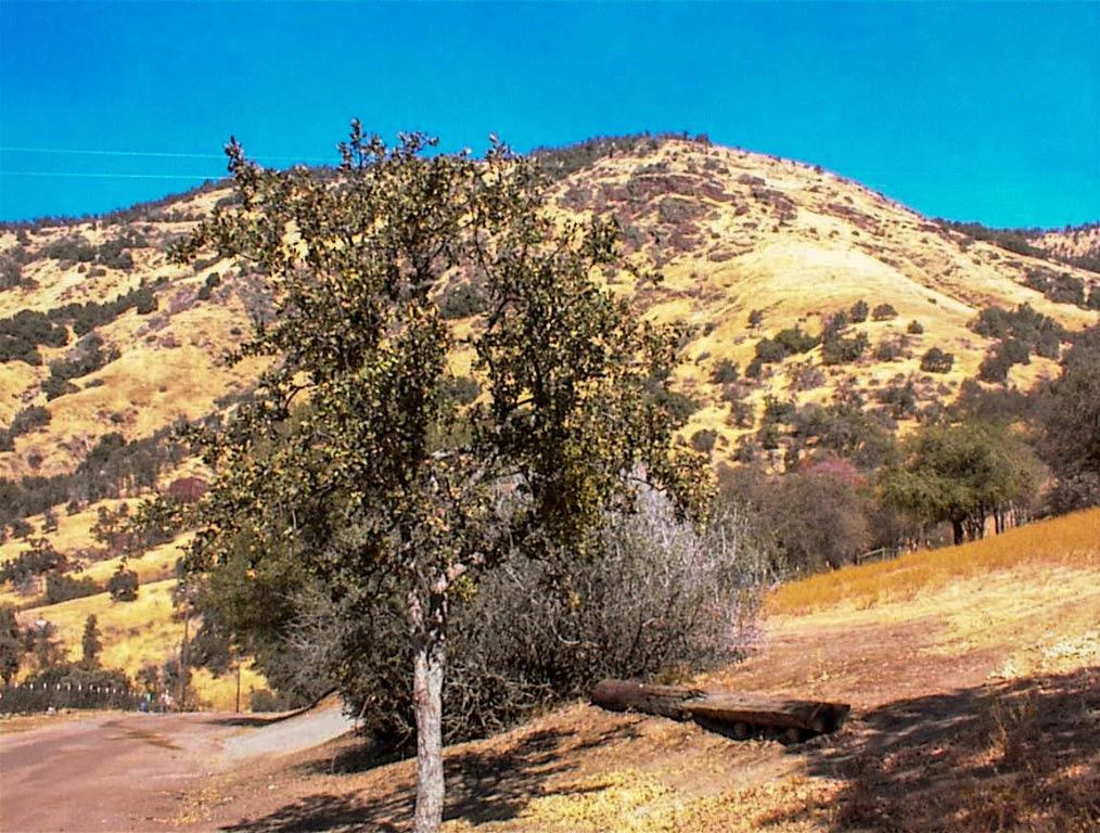 Spectacular ridgetop lot overlooking Wonder Valley to the west and the High Sierras to the east. Property slopes up from the road to a nice broad bench area and then down to the rear of the property. This outstanding 5 acre lot is located on a quiet cul-de-sac only 1.5 miles from Hwy 180 for an easy commute to the valley. This is a highly sought after location in Squaw Valley. This undeveloped parcel has a nice mix of mature oaks, open areas, plenty of privacy, and some truly spectacular views. Power is at the property line. The land is zoned AE which allows for a home and a wide variety of farming, animal rearing, and other related uses. There are no CC&R's or Homeowner Association to deal with. Manufactured Homes are permitted as well as other types of single family dwellings. The seller is a trust with multiple heirs and cannot carry paper so a cash sale only. This is a property that is well worth seeing. It's a great lot with easy access that has excellent privacy and even better views.