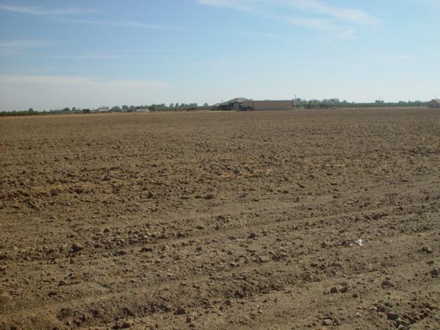 CHOWCHILLA