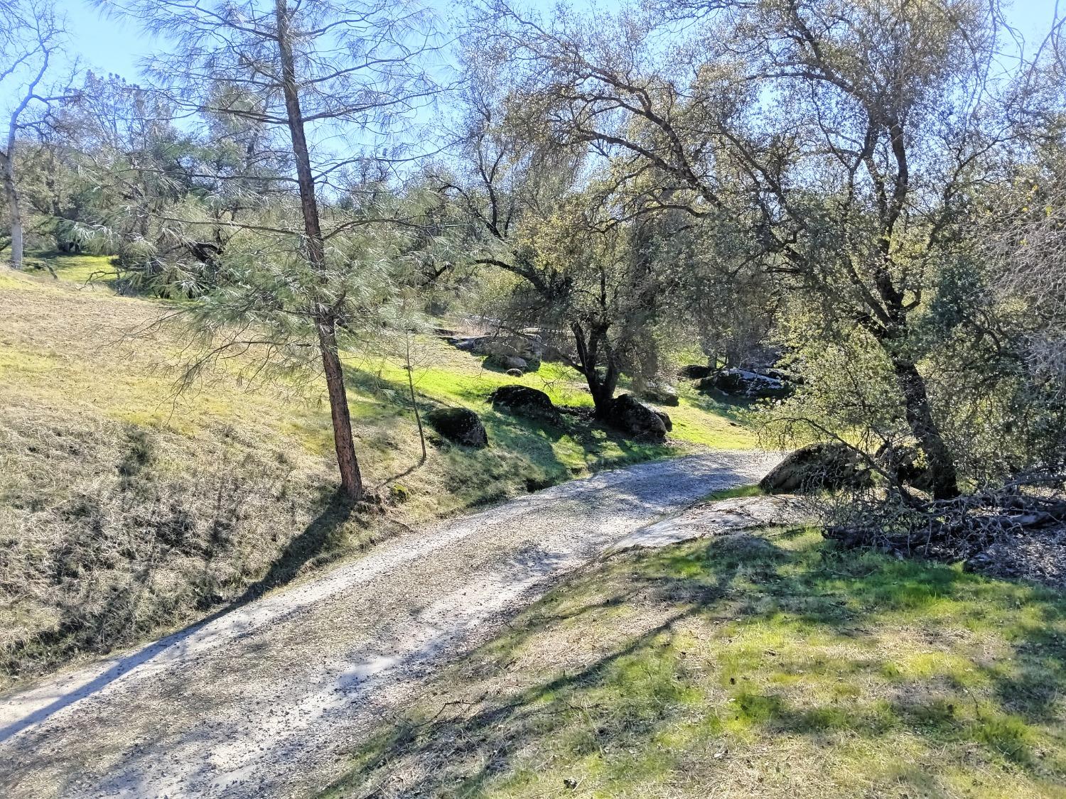 Vacant Lot in Coarsegold - photo 3