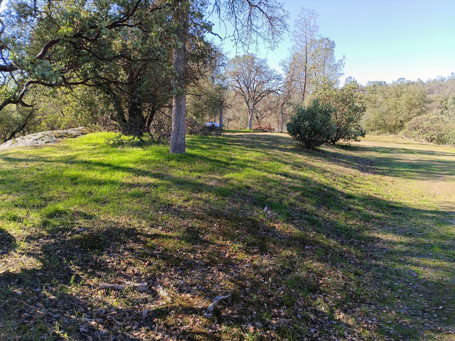 Vacant Lot in Coarsegold