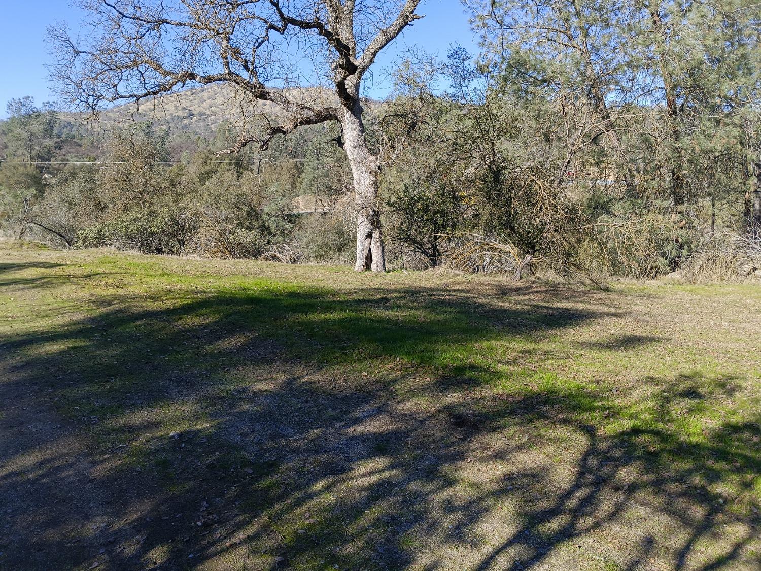 Vacant Lot in Coarsegold - photo 2