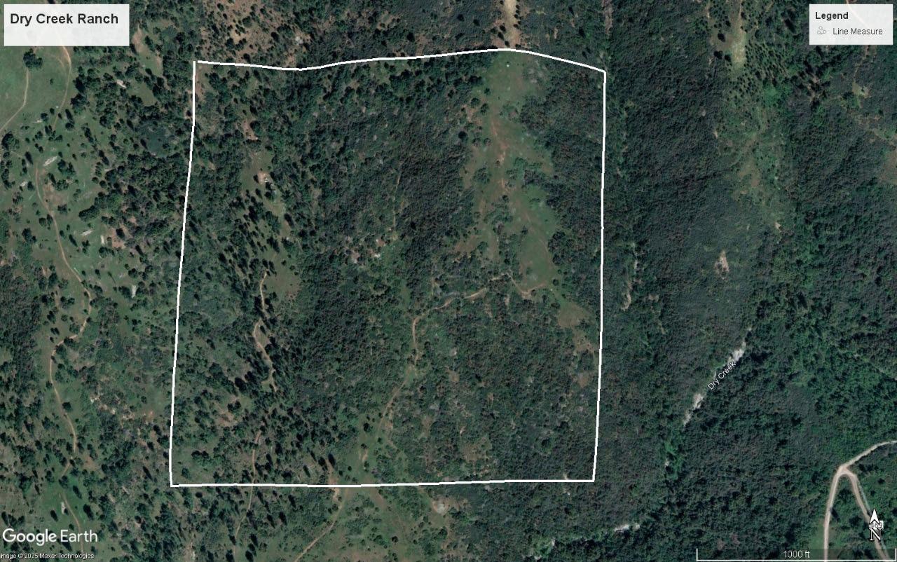 This ultra secluded 160 acres in the perfect hunting (or escape from the city) retreat. It is bounded on the east and north by sequoia National Forest and is adjacent to Dry Creek. Access to the property is by a 1 mile deeded easement, This is foothill mountainous terrain with elevations ranging from 3500 to 4000 foot. There are numerous roads throughout the property . The highlight is a nicely restored hunter's cabin with adjacent bathroom. The 1 room cabin has a terrific rustic charm and is sited in a quiet meadow area overlooking the valley. There is a variety of wildlife including deer, wild turkey, quail and more. Here you can enjoy total seclusion and decompress from a hectic urban lifestyle. Seller will consider carrying paper with acceptable down payment and terms. Showing by appointment only.