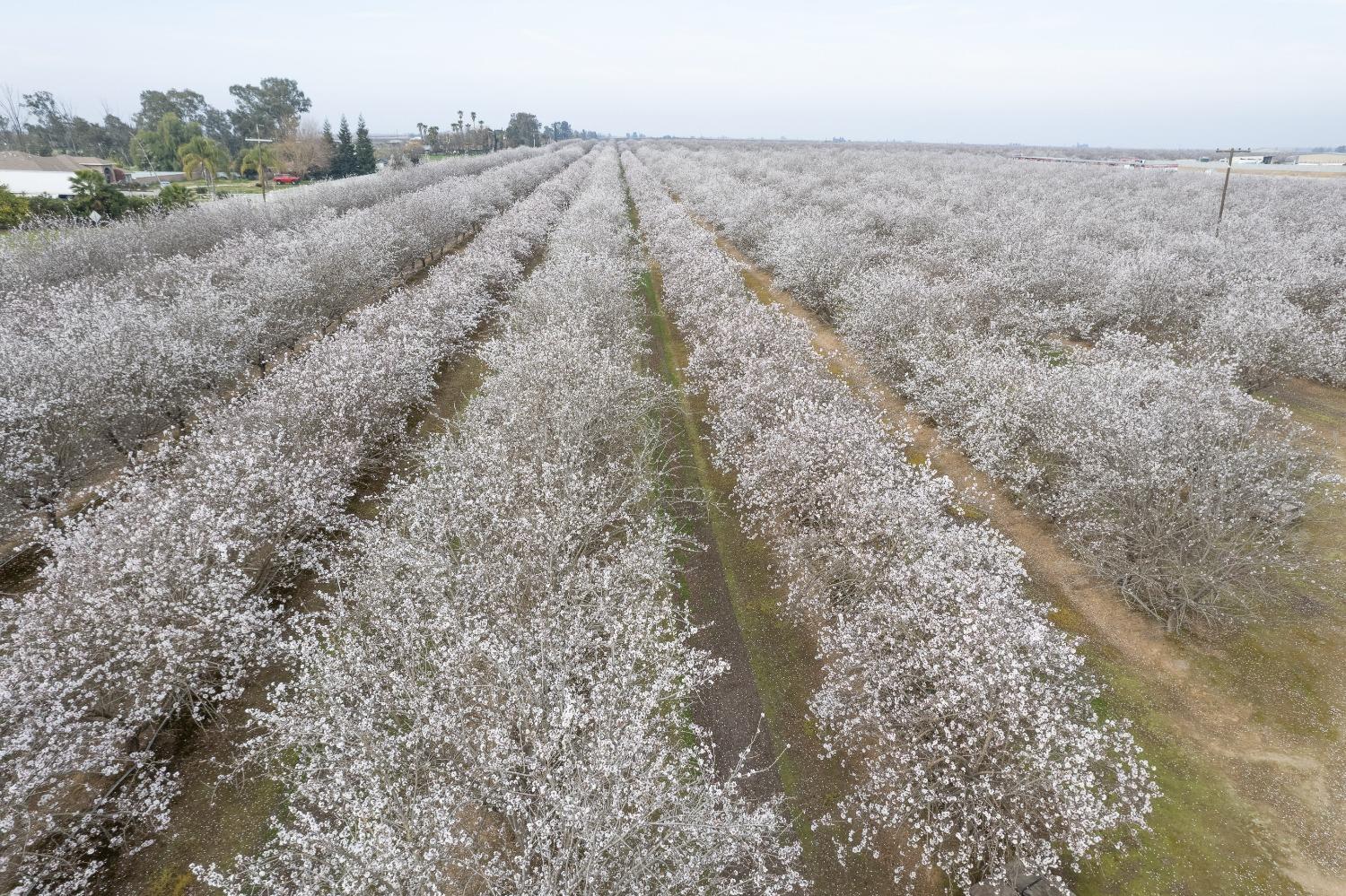 0 Apn 029-190-025-000, Madera, CA, 93637