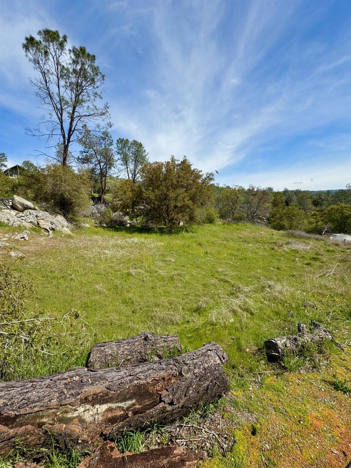 Vacant Lot in Coarsegold