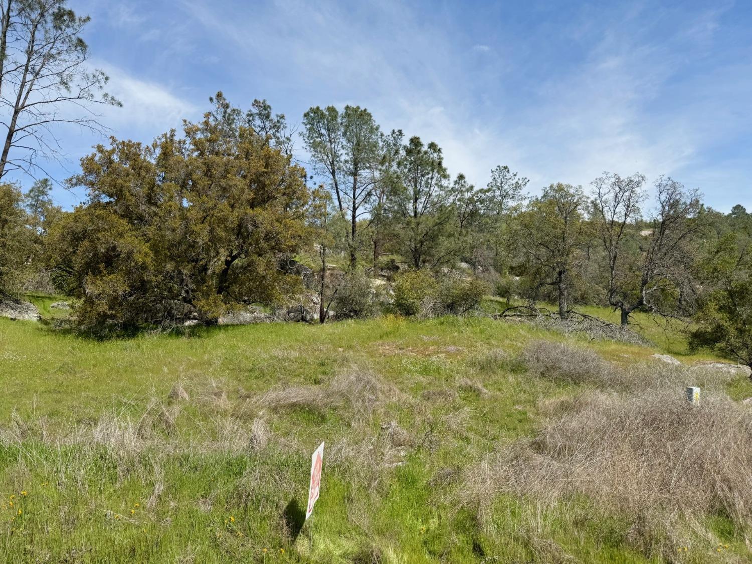 Vacant Lot in Coarsegold - photo 3