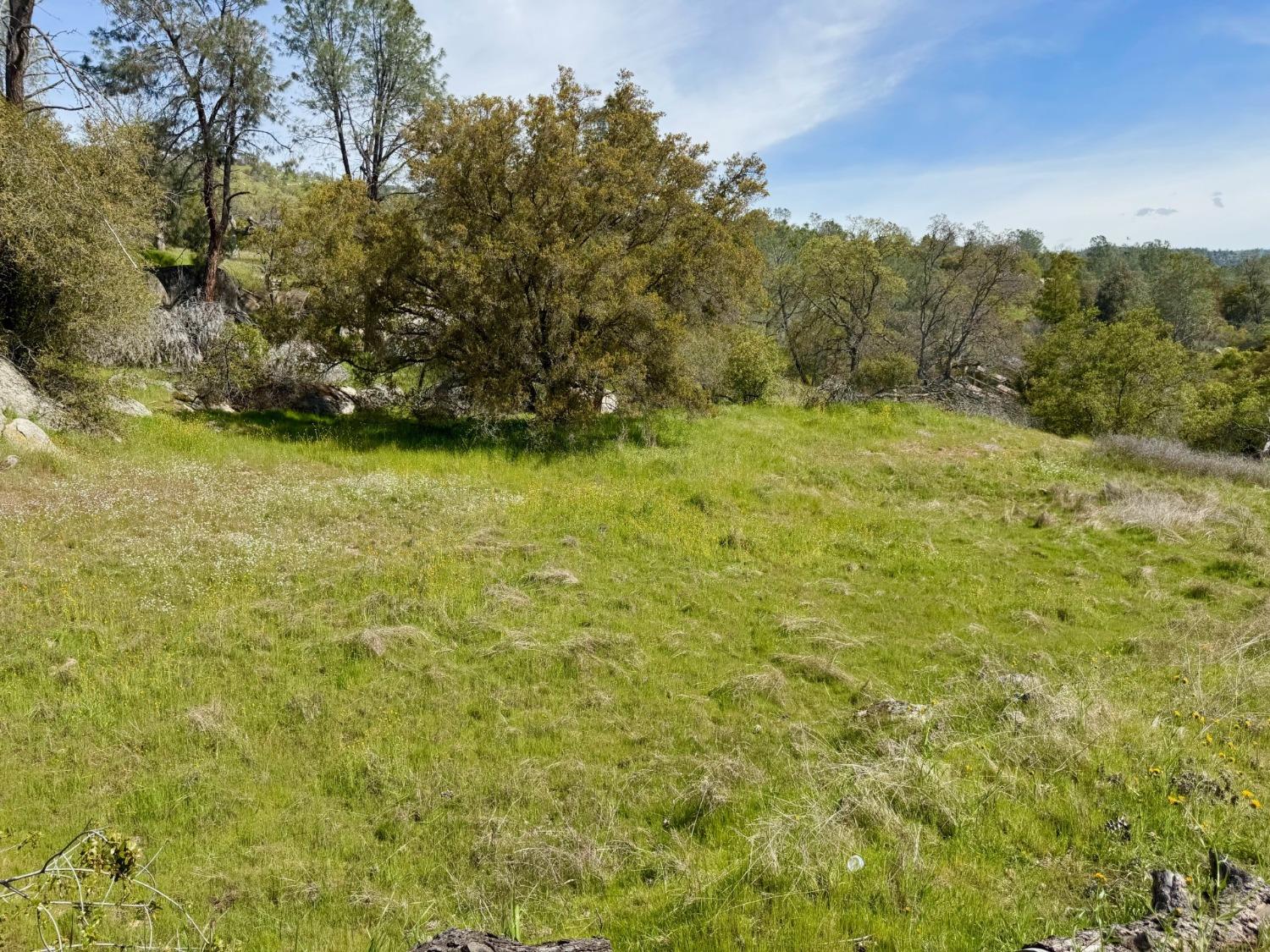 Vacant Lot in Coarsegold - photo 2