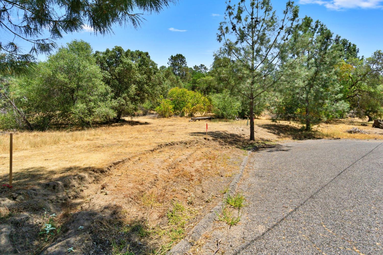 Vacant Lot in Coarsegold - photo 3