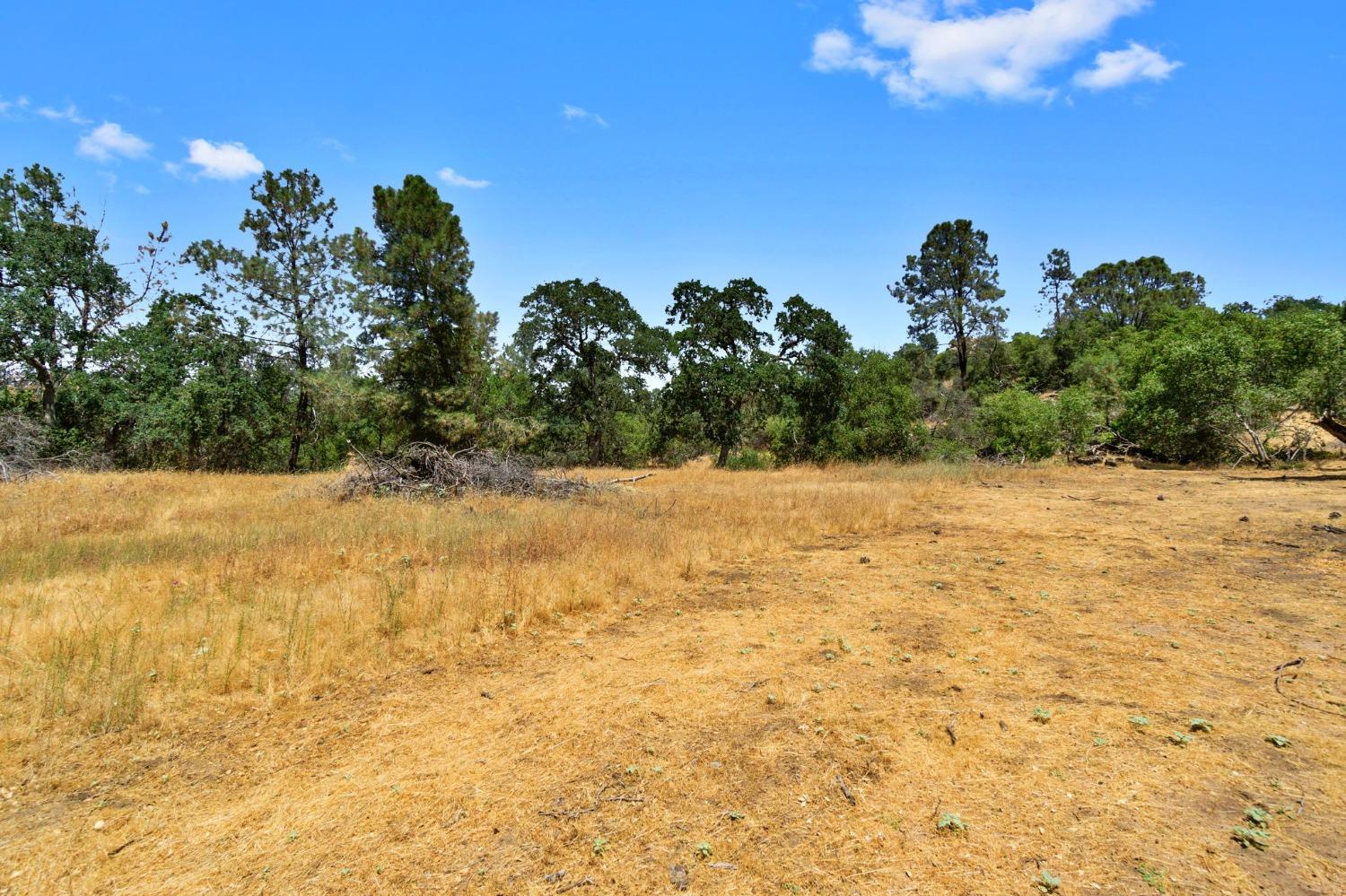 Vacant Lot in Coarsegold - photo 2