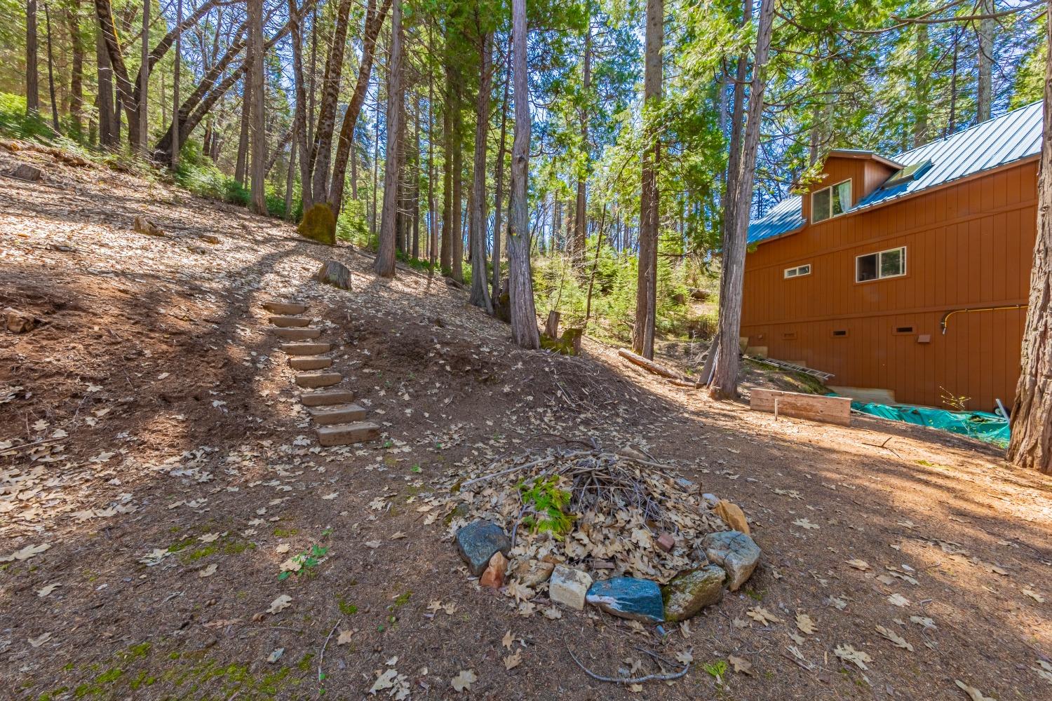 50054 Poplar Road, Oakhurst, CA, 93644