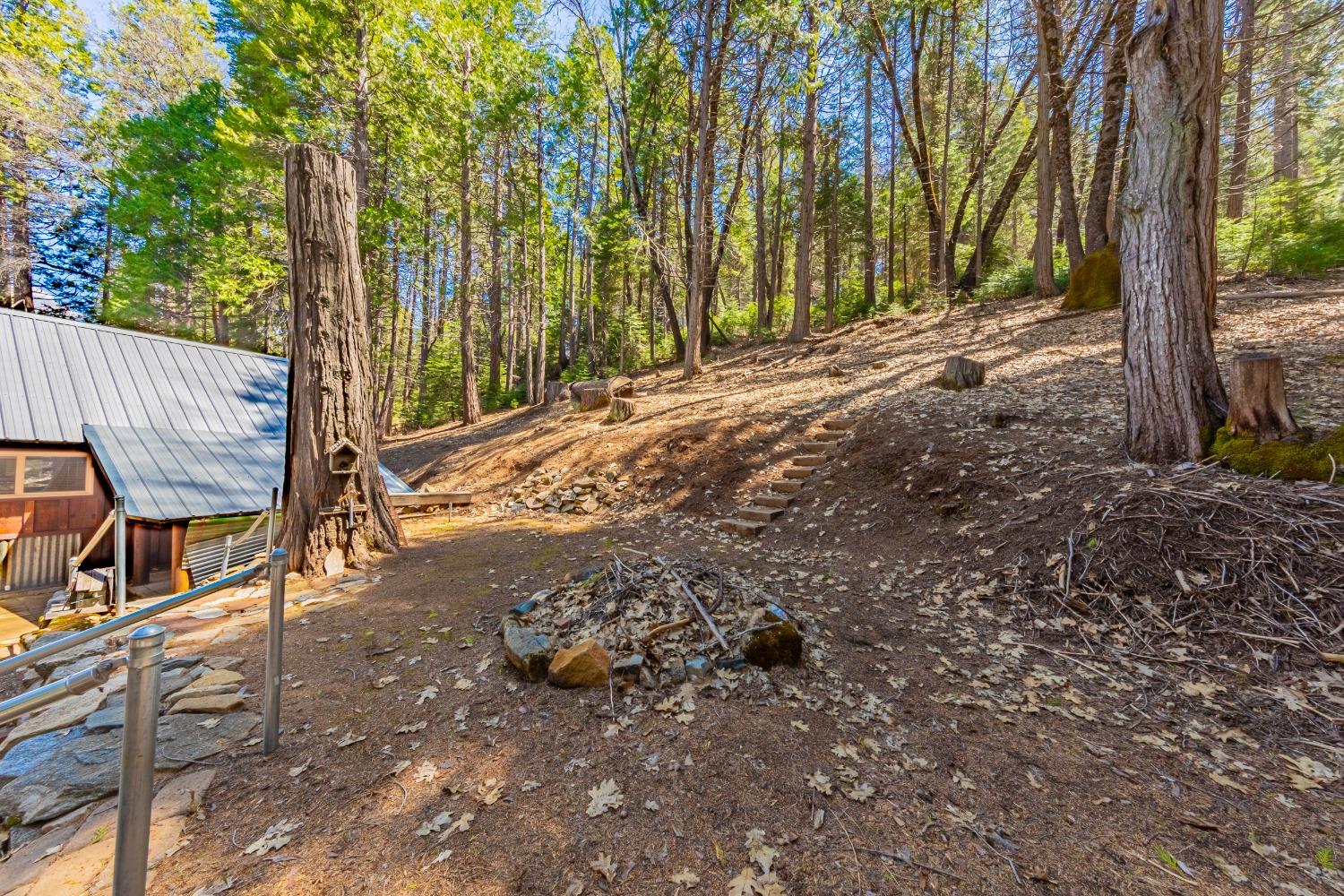 50054 Poplar Road, Oakhurst, CA, 93644