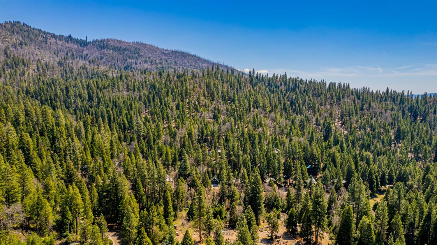 50054 Poplar Road, Oakhurst, CA, 93644