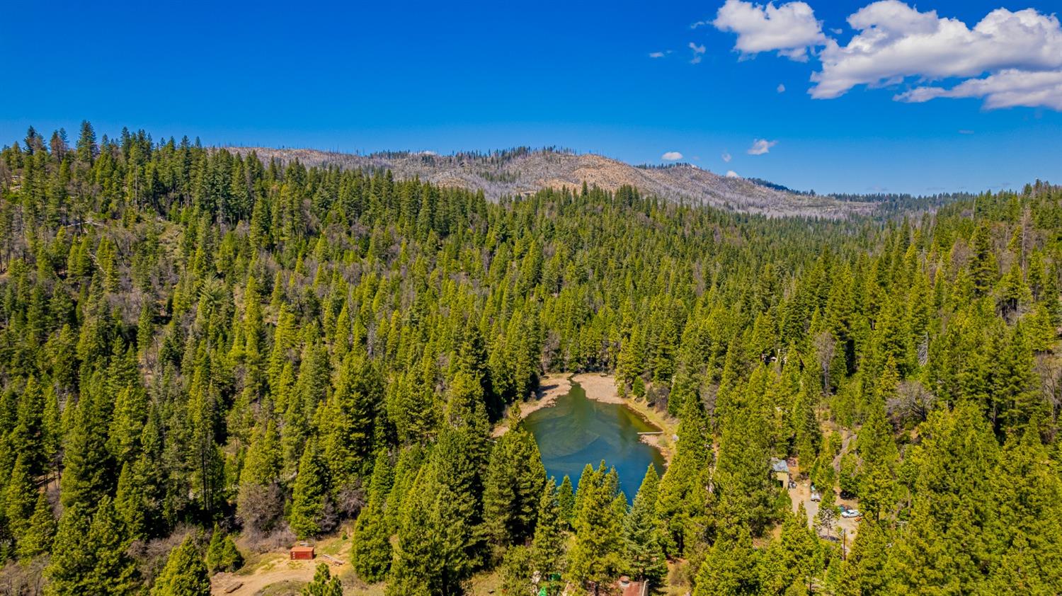 50054 Poplar Road, Oakhurst, CA, 93644