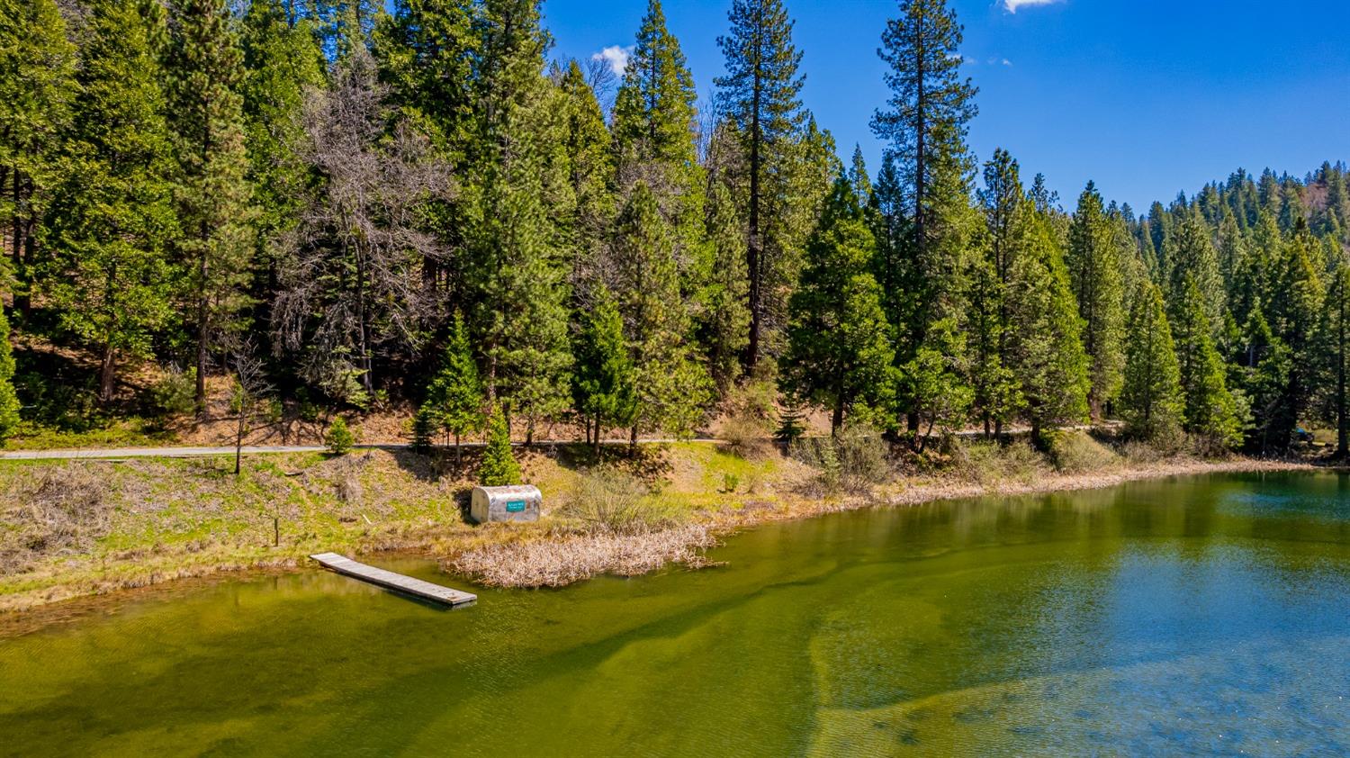 50054 Poplar Road, Oakhurst, CA, 93644