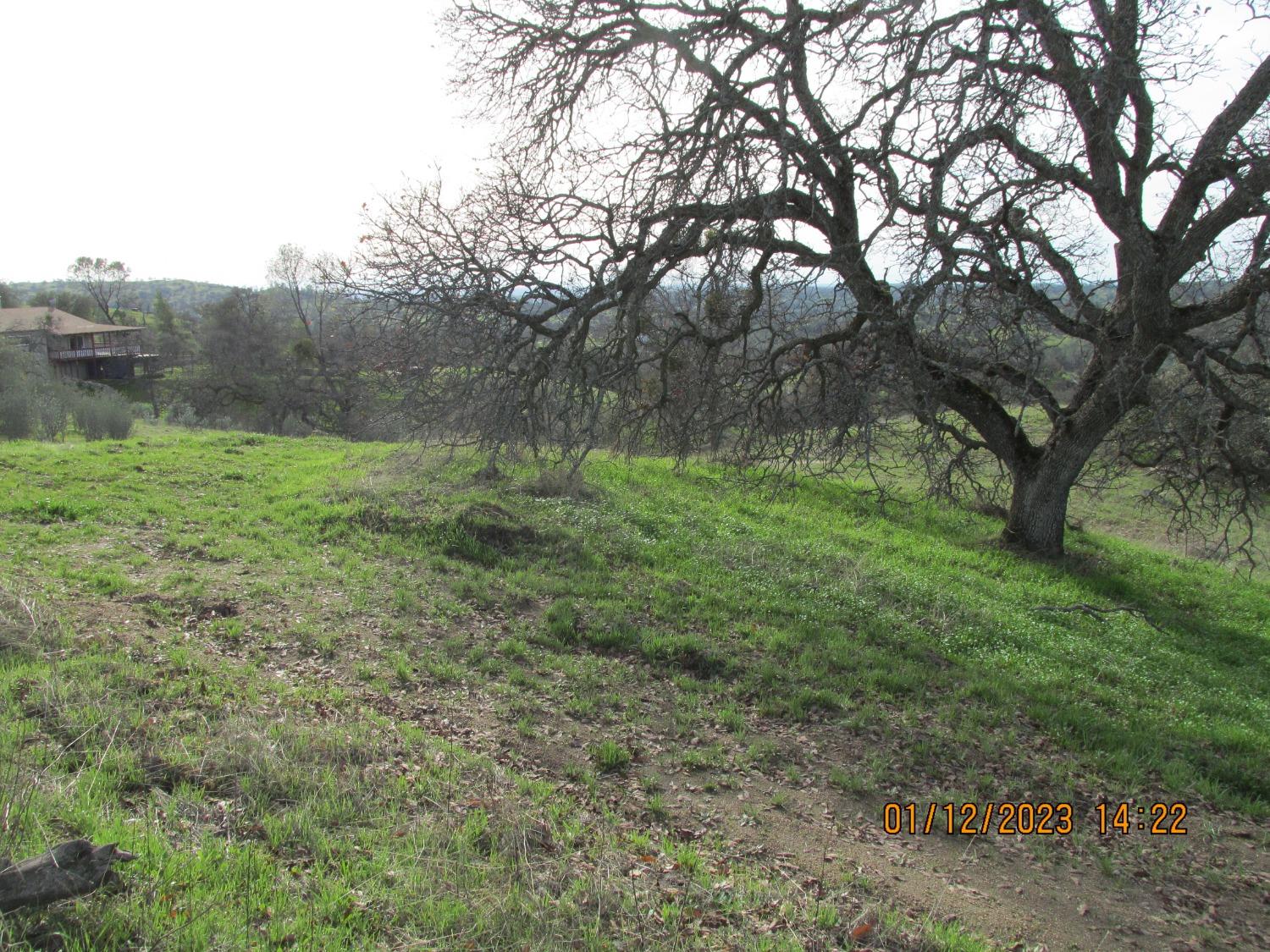 Photo 32