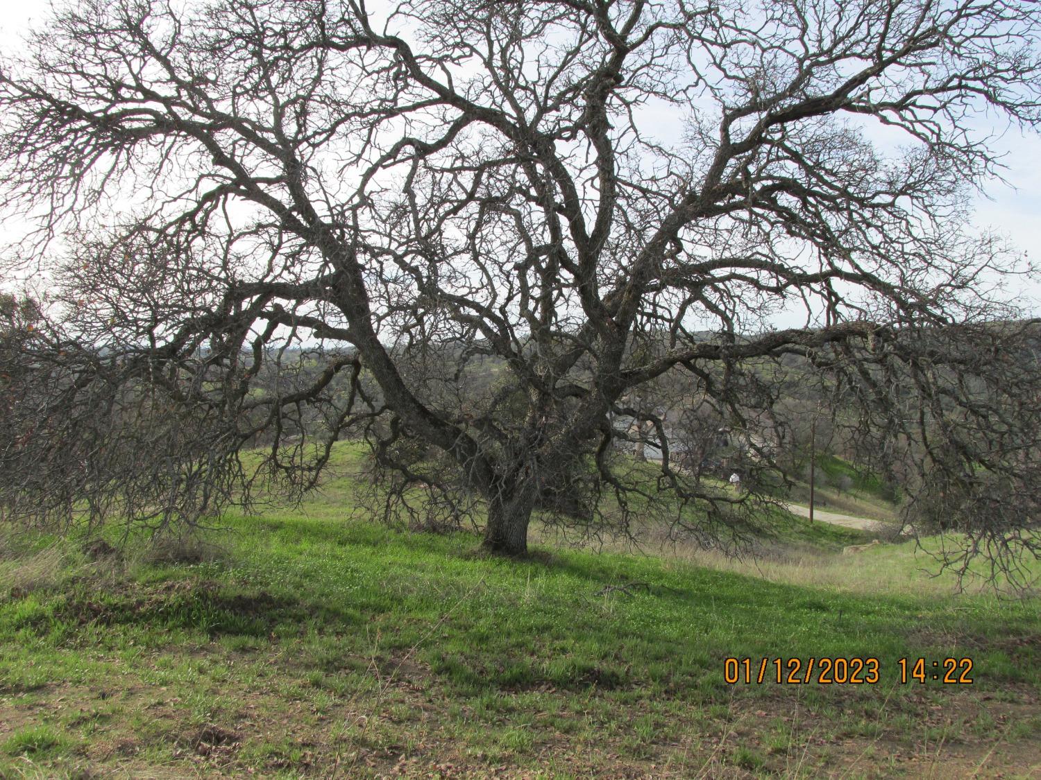 Photo 34