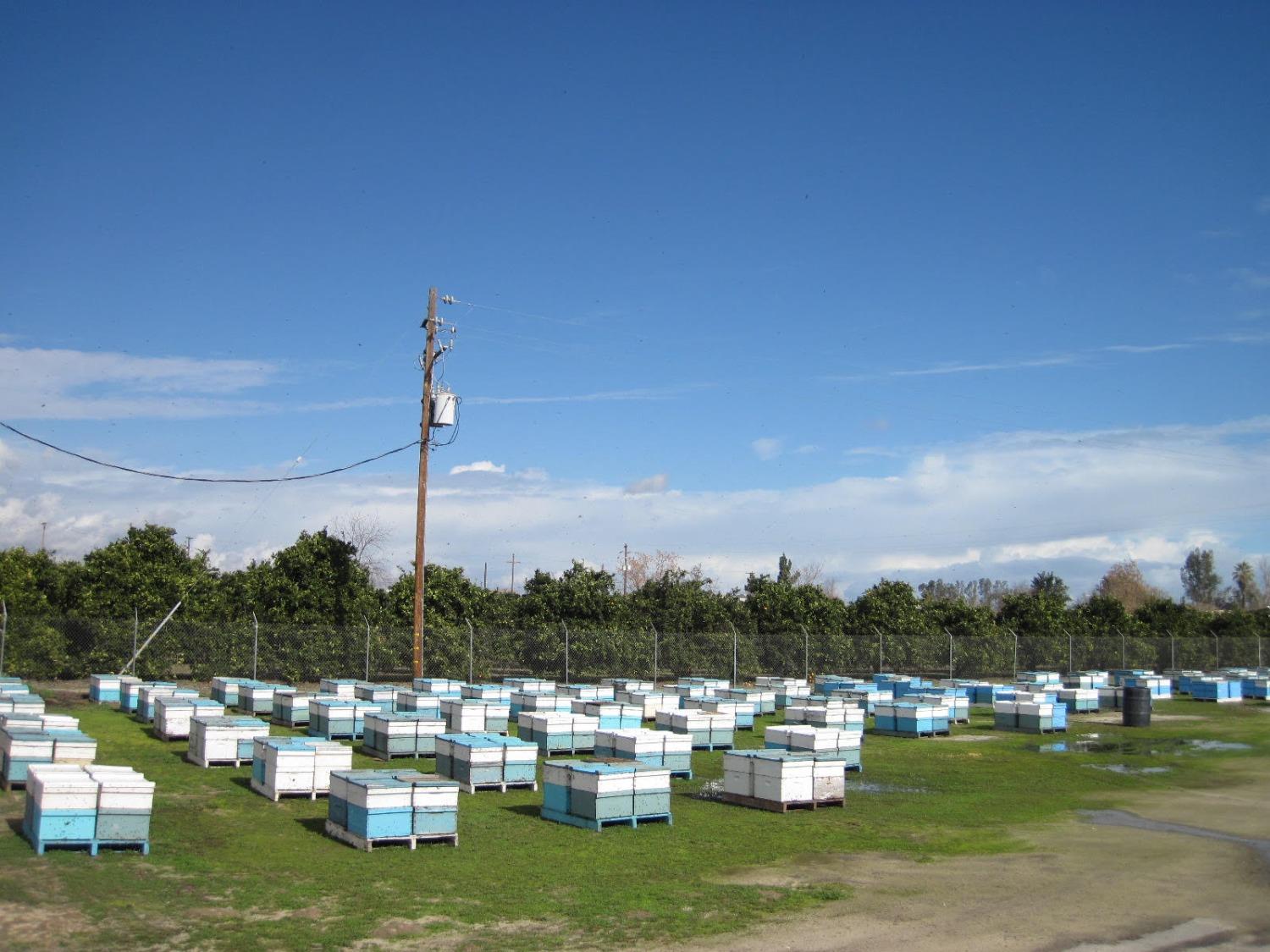 Vacant Lot in Fresno - photo 3