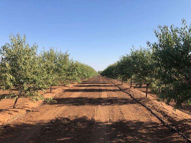 12000 E Shaw Avenue, Clovis, CA, 93619