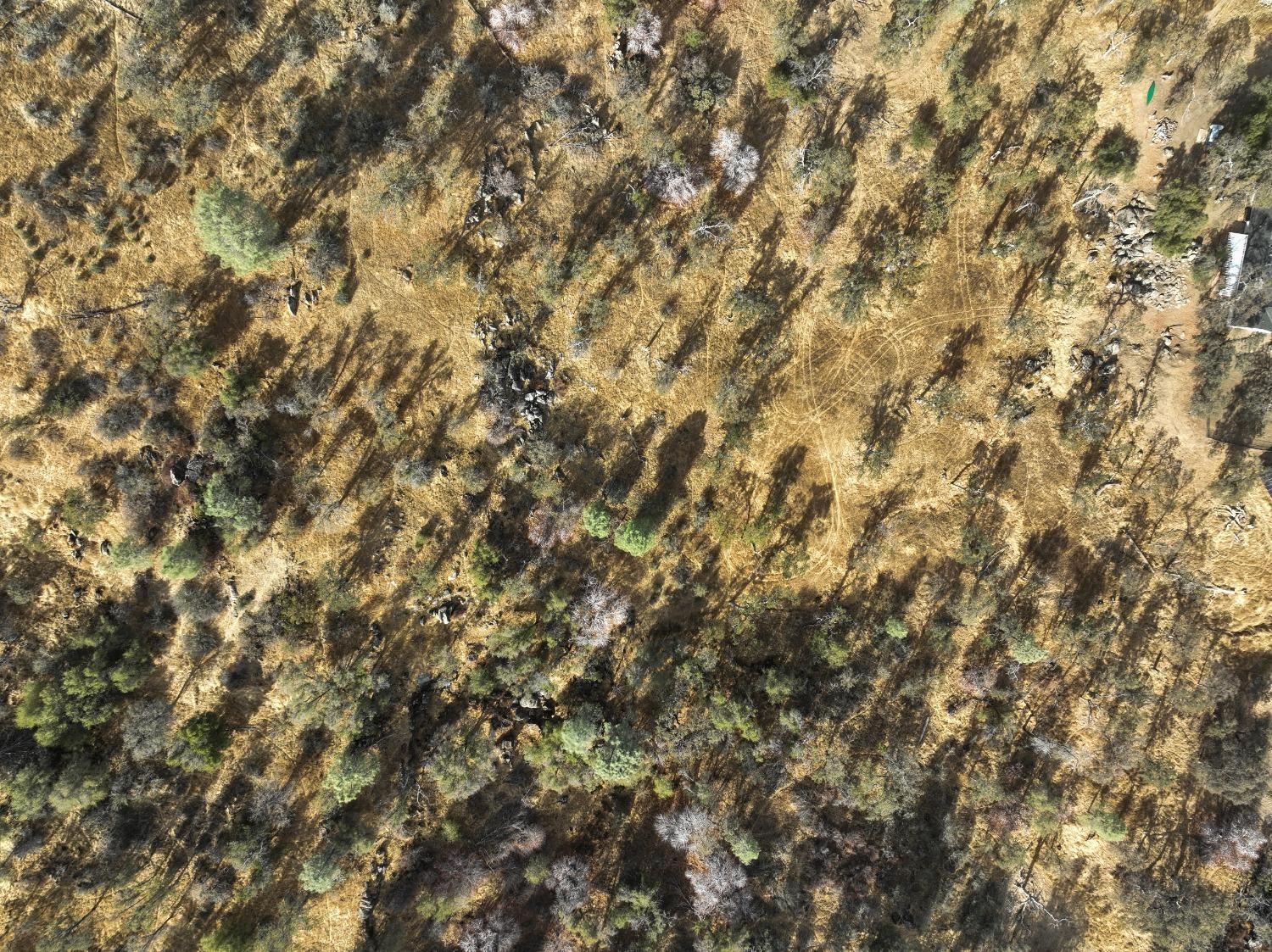 COARSEGOLD