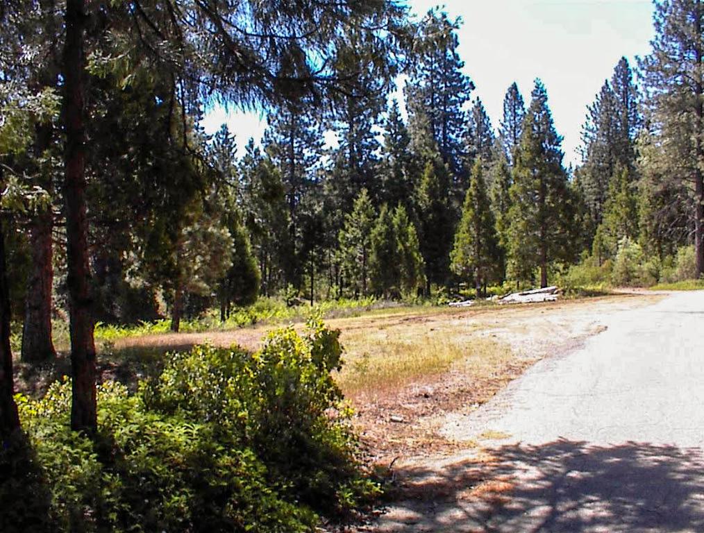 Sequoia Lake Trio - This property is one of three unique 40 acre parcels located at the 5,000 foot elevation just west of Sequoia Lake in the Sequoia National Forest. Each of these parcels offer a rare private generational foothold in one the world's most scenic spots within touch of the majestic Kings River Canyon (deepest in the United States) and the Giant Redwoods (largest trees in the world) of Sequoia National Park.  Formerly owned by the YMCA (caretaker and owner of Sequoia Lake), each of these forested 40 acre lots have individually unique features in a truly rustic and native environment offering the future owner a rare opportunity to create a private, generationally significant large landhold in the center of one of the world's most scenic resources. Each of these parcels have paved road access from Millwood Road (an 1800's road created to provide access to log the Giant Redwoods).This property is called the Sequoia Flats 40. As the name implies, it features many open and relatively flat areas that are usable and easily accessed. This parcel has a wide variety of potential building sites including elevated sites with broad mountain views. It has a network of internal roads and a beautiful mix of mature conifers, native black oaks, and unique rock formations. The property is zoned RC (a resource conservation district) that allows for a single family residence and also allows for low intensity parks and camps (real possibility for camping VRBO's).