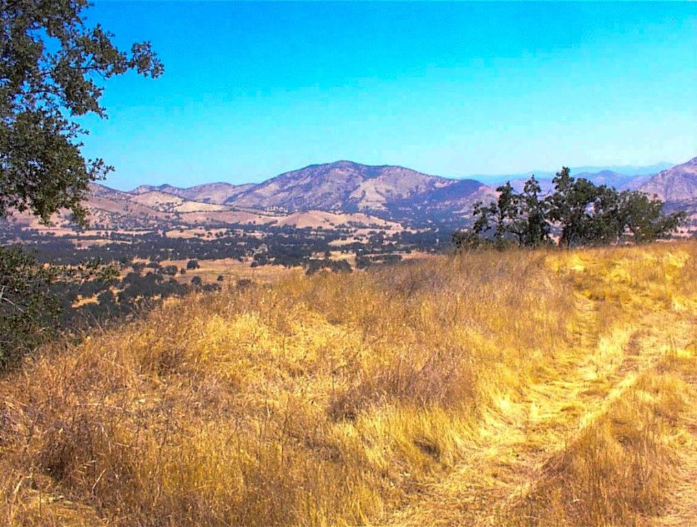 It was a cloudy day for pictures, but have no doubts this 5.31 acre parcel has massive views of the entire Squaw Valley area and the San Joaquin Valley to the west. Perched on a distinct ridgeline overlooking Squaw Valley to the North,this hillside parcel has steep terrain but is buildable. That is evidenced by the large pad and drive that have been constructed to take advantage of that magnificent view. The location and the surrounding terrain ensure that you will have complete privacy from the neighbors. Power is aavailagble at the property line. Plus you have the added benefit of being closse to Hwy 180 for an ewasy commute to town. The seller will consider carrying paper with an accewptable down payment and terms. But don't take my word for it. Take a drive and experiennce that breathtaking view for yourself.