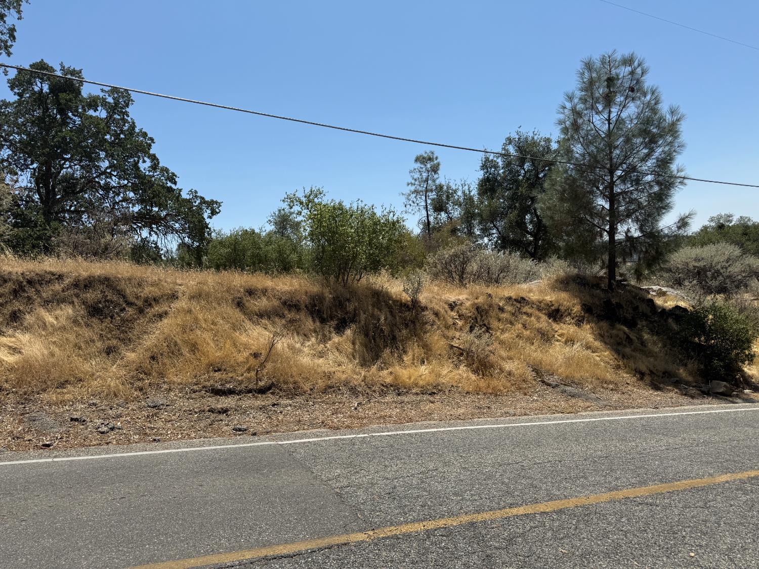 Vacant Lot in Coarsegold