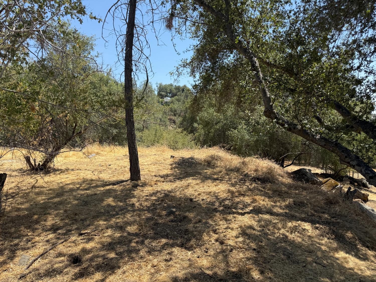 Vacant Lot in Coarsegold - photo 3