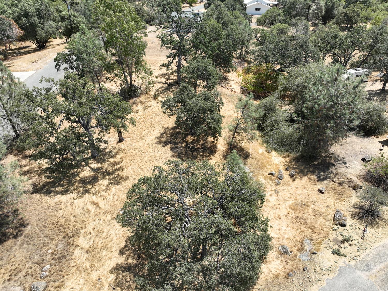 Vacant Lot in Coarsegold