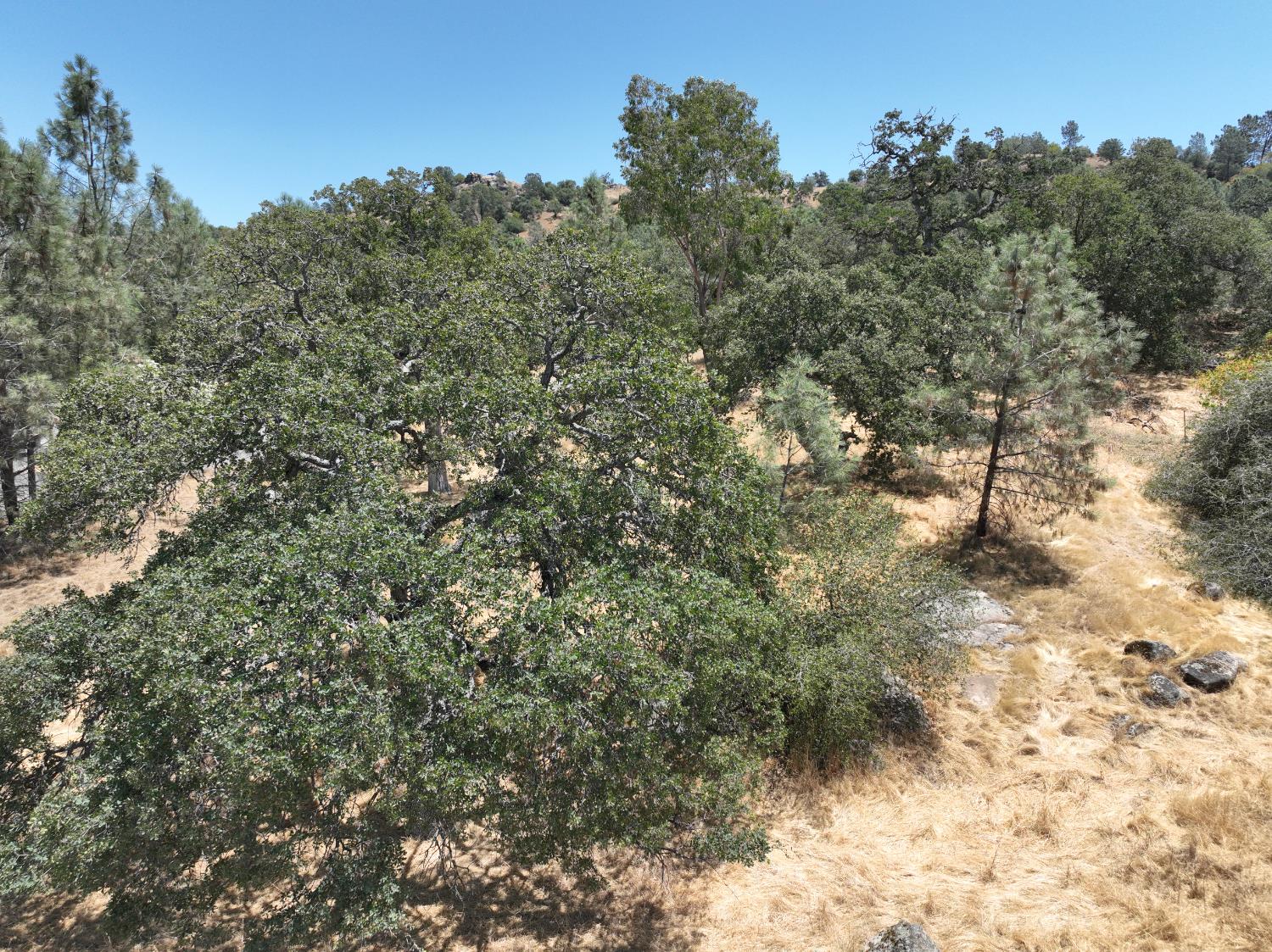 Vacant Lot in Coarsegold - photo 3