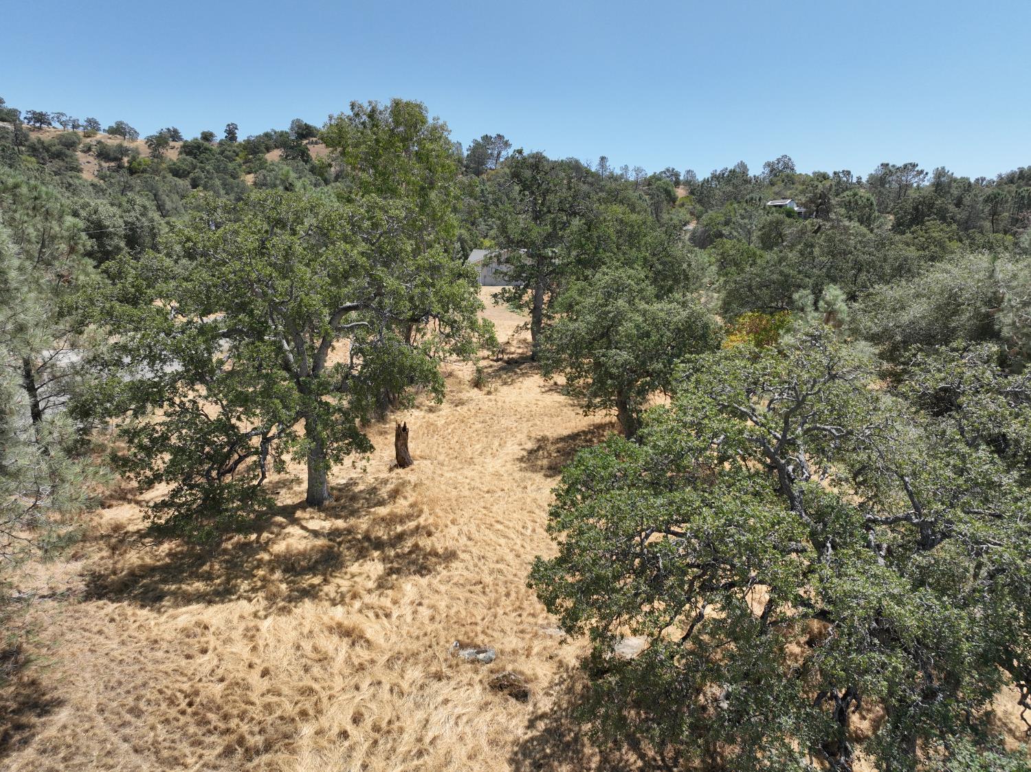 Vacant Lot in Coarsegold - photo 2