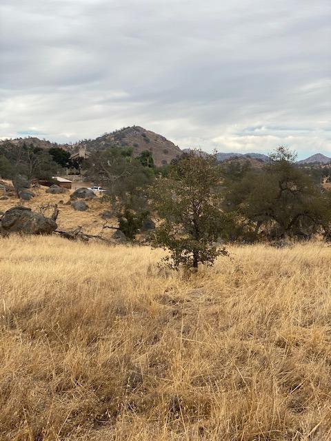 Featured Listings Featured Listings