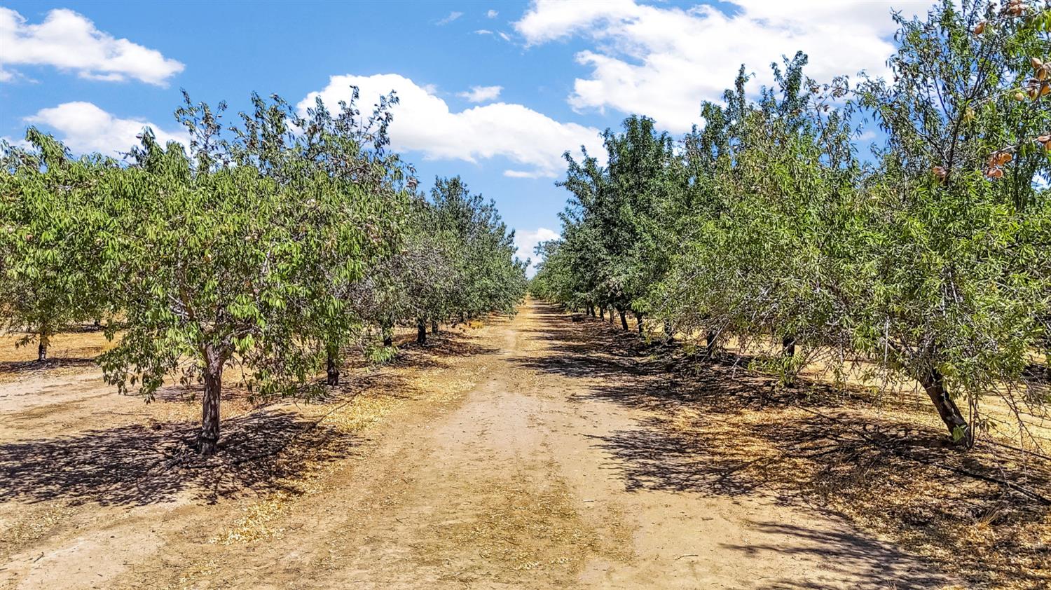 29493 Avenue 13 1/2, Madera, CA, 93638