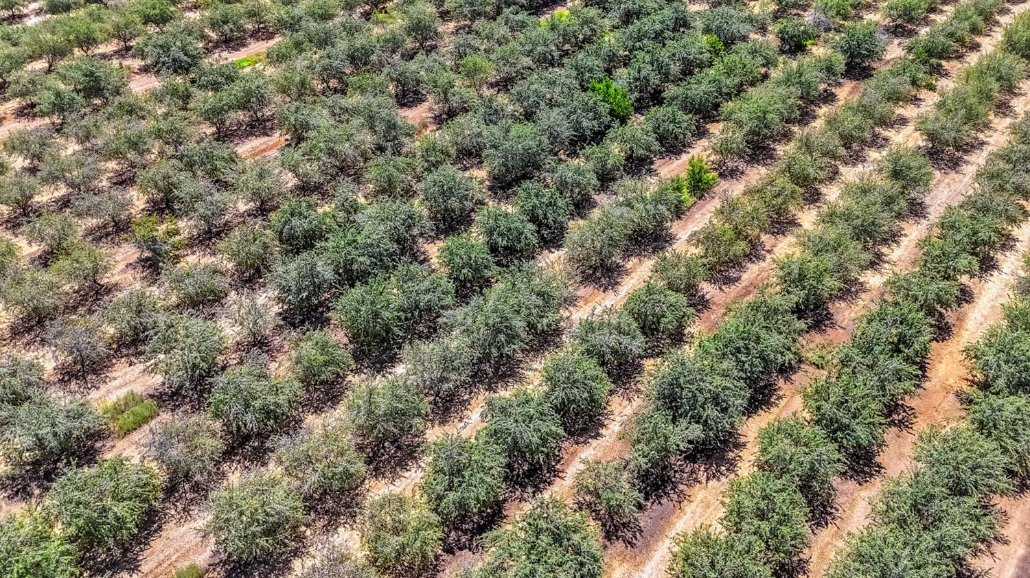 29493 Avenue 13 1/2, Madera, CA, 93638