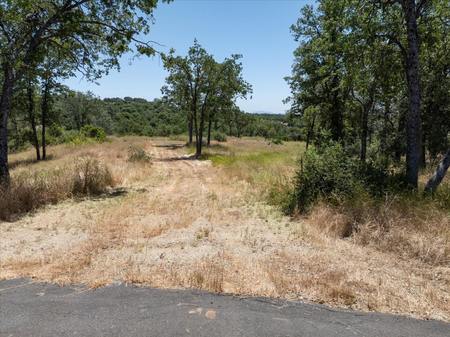 Vacant Lot in Coarsegold - photo 3