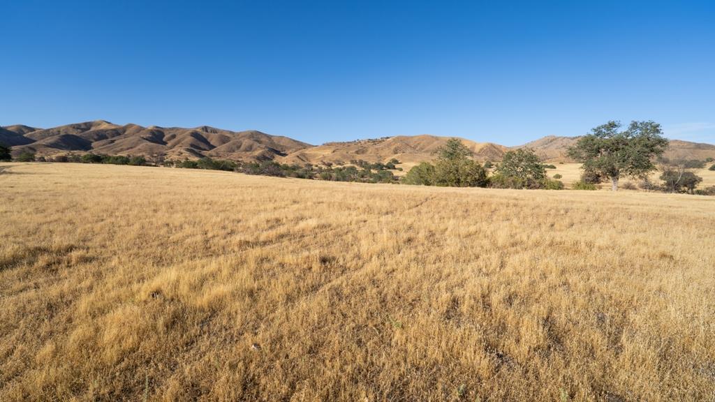 47069 Crump Lane, Coalinga, CA, 93210