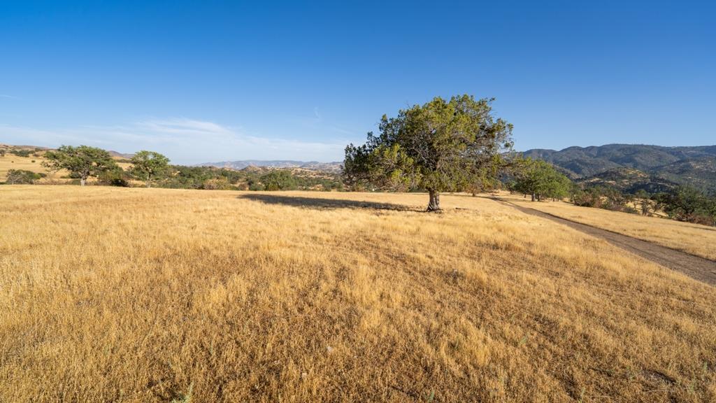47069 Crump Lane, Coalinga, CA, 93210