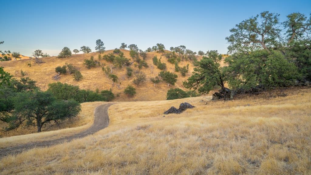 47069 Crump Lane, Coalinga, CA, 93210