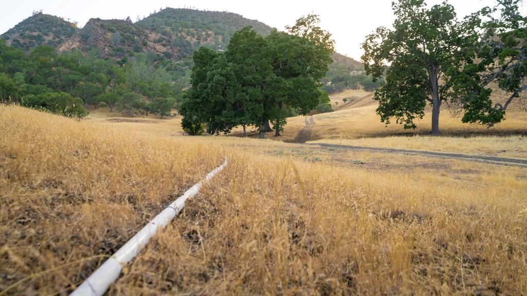 47069 Crump Lane, Coalinga, CA, 93210