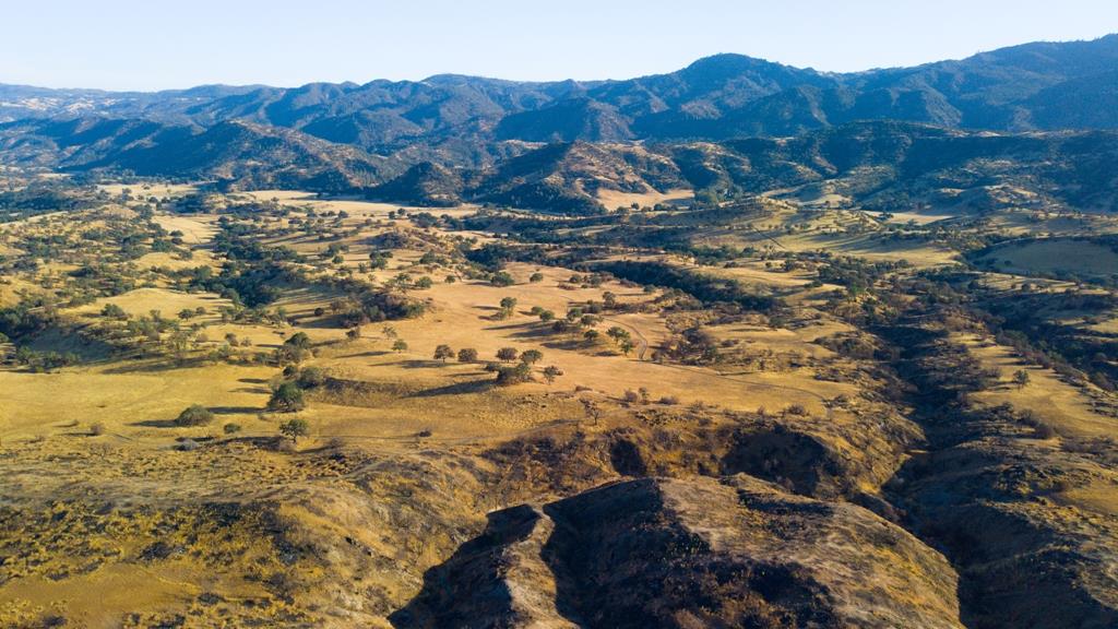 47069 Crump Lane, Coalinga, CA, 93210