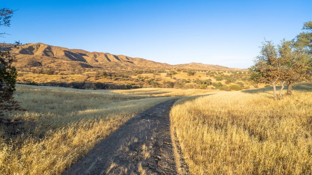 47069 Crump Lane, Coalinga, CA, 93210