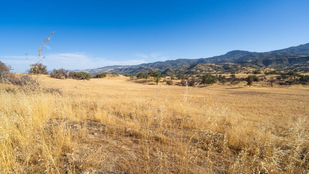 47069 Crump Lane, Coalinga, CA, 93210