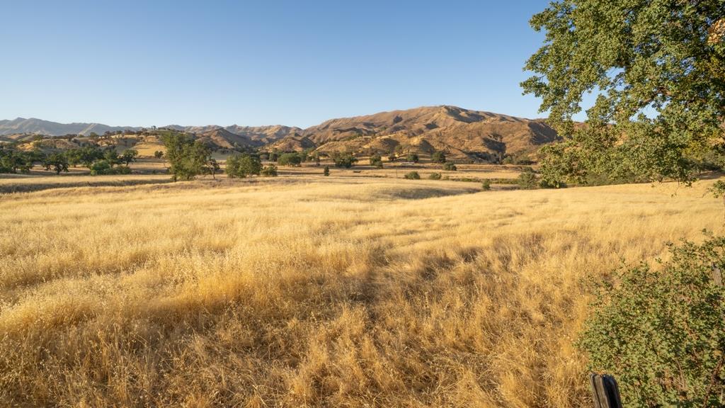 47069 Crump Lane, Coalinga, CA, 93210