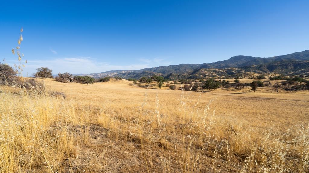 47069 Crump Lane, Coalinga, CA, 93210