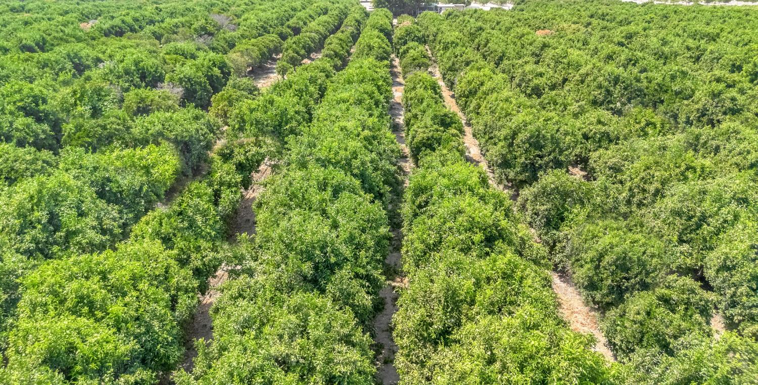 6658 S Peach Avenue, Fresno, CA, 93725