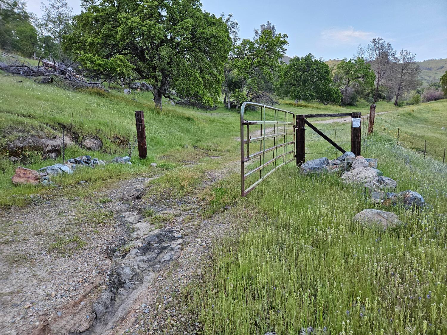 Vacant Lot in Sanger