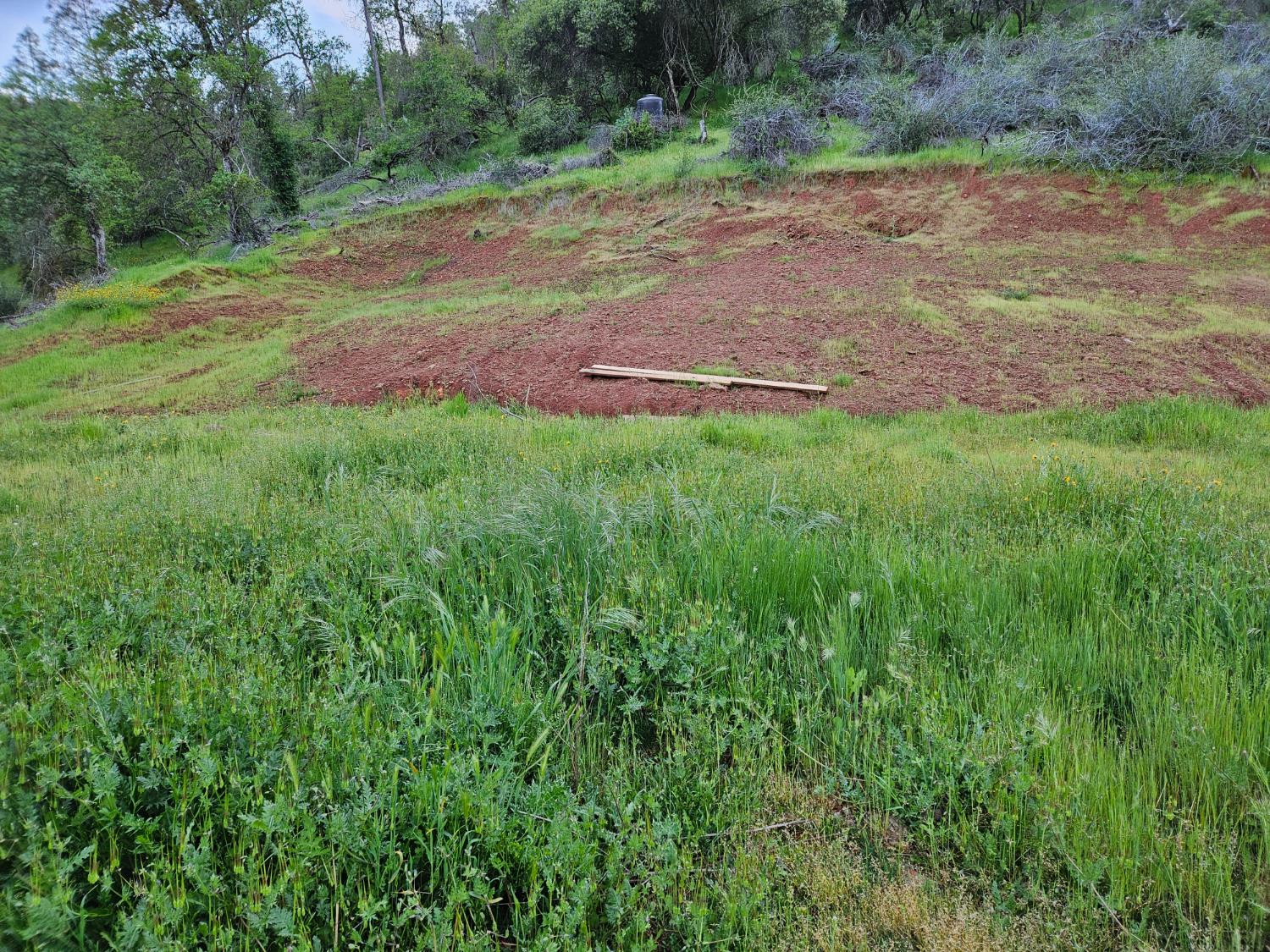 Vacant Lot in Sanger - photo 2