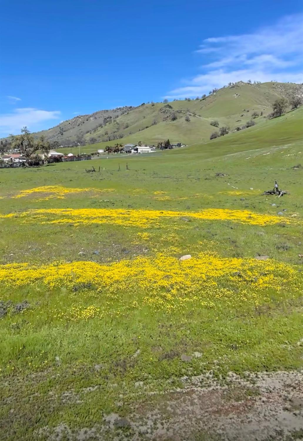 Vacant Lot in Sanger - photo 2