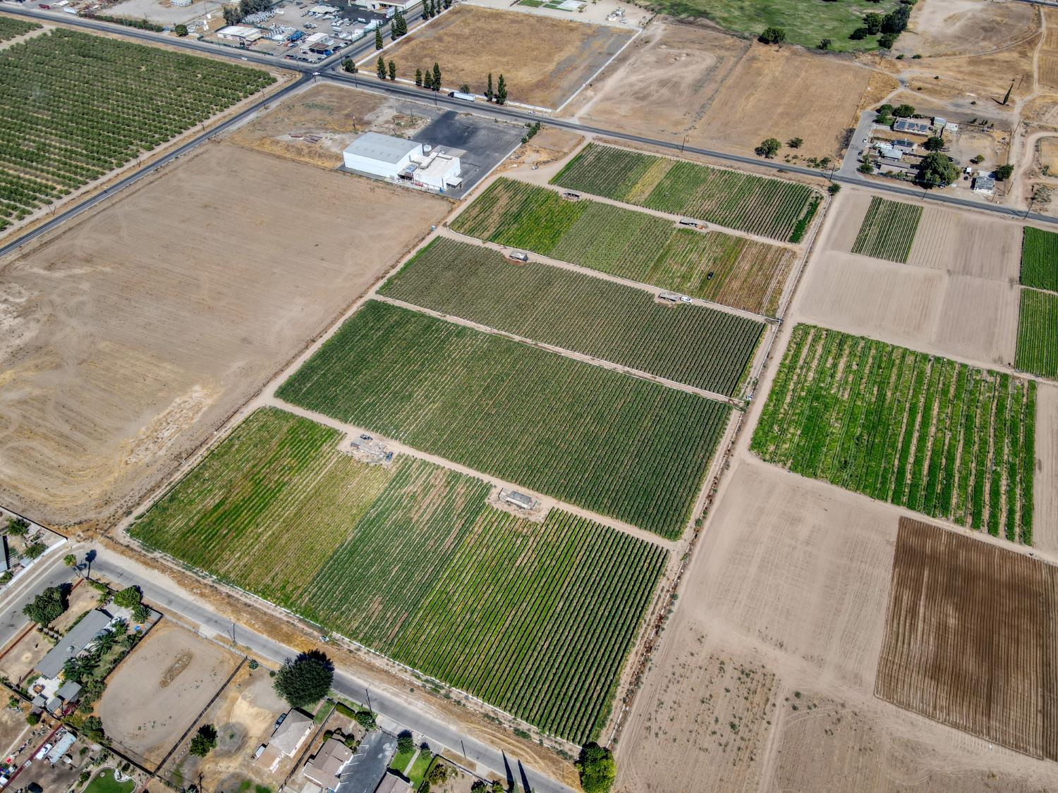 Vacant Lot in Fresno - photo 2