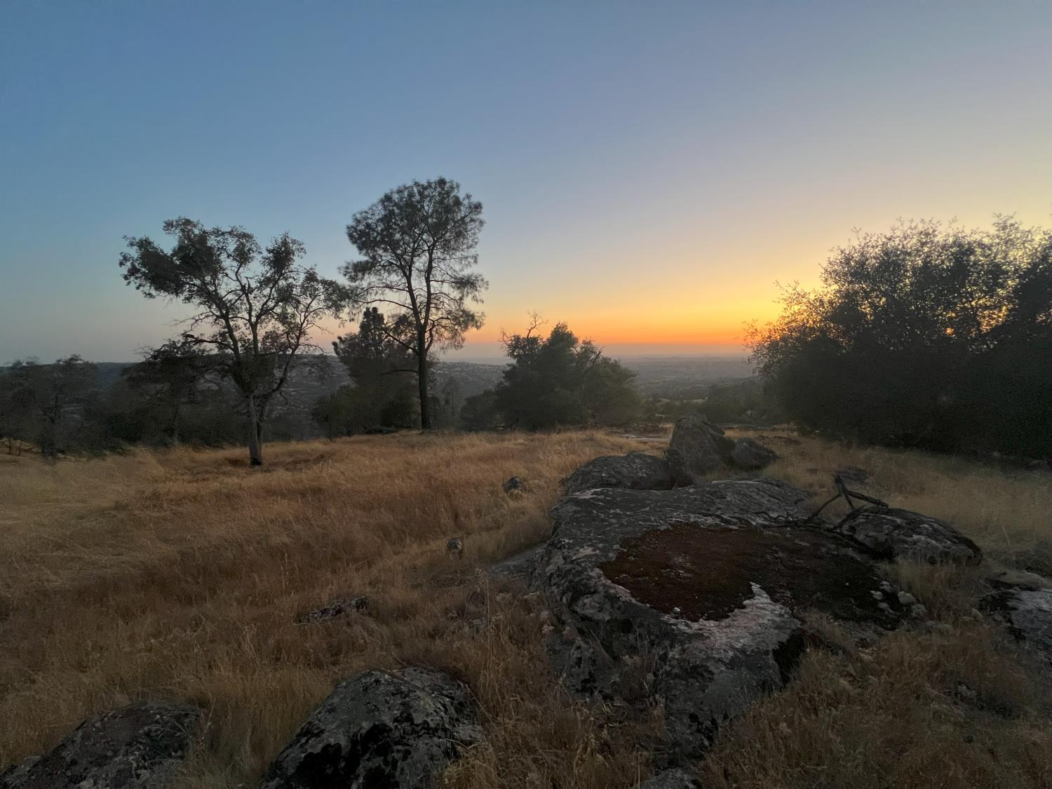Vacant Lot in Coarsegold