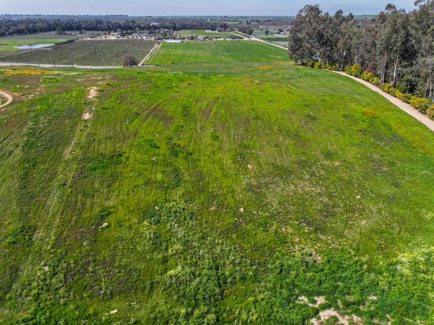 Vacant Lot in Clovis - photo 3