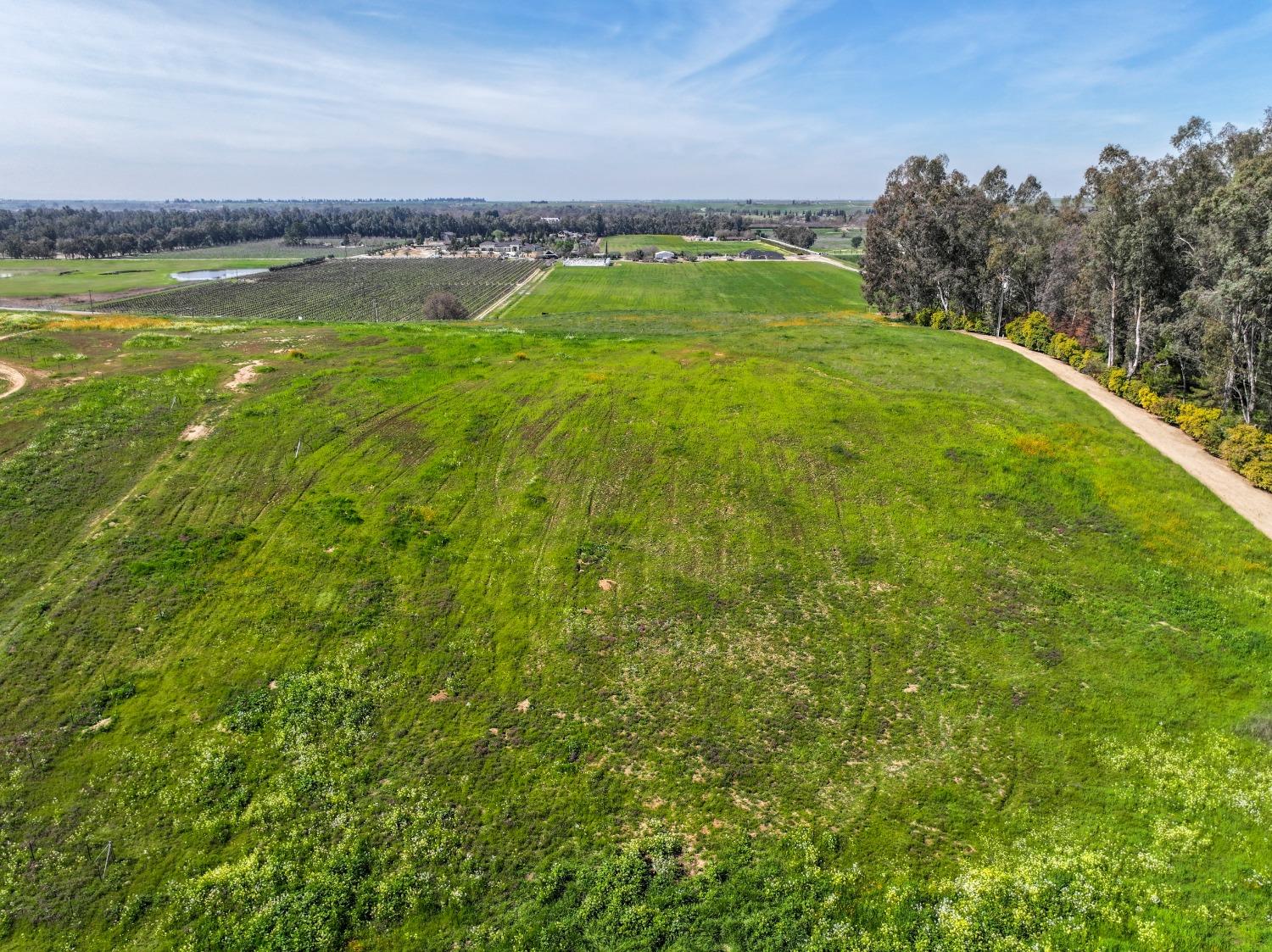 Vacant Lot in Clovis